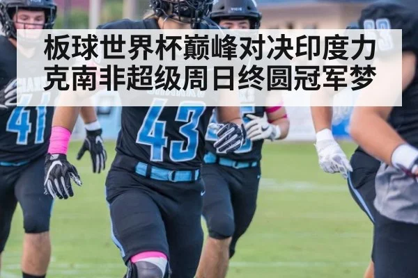 板球世界杯巅峰对决印度力克南非超级周日终圆冠军梦